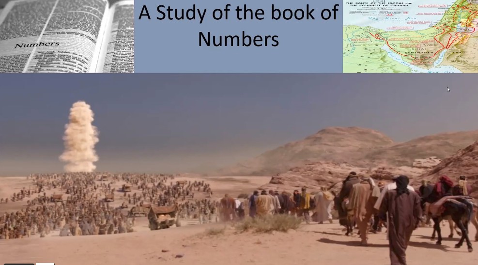 The Book of Numbers (1)